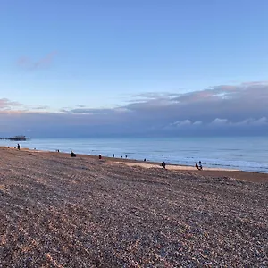 Salt Life Modern , Brighton United Kingdom